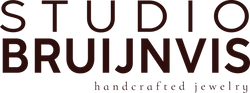 studiobruijnvis
