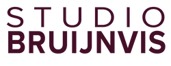 studiobruijnvis